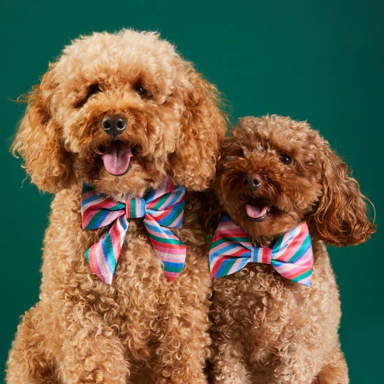 Bow Ties