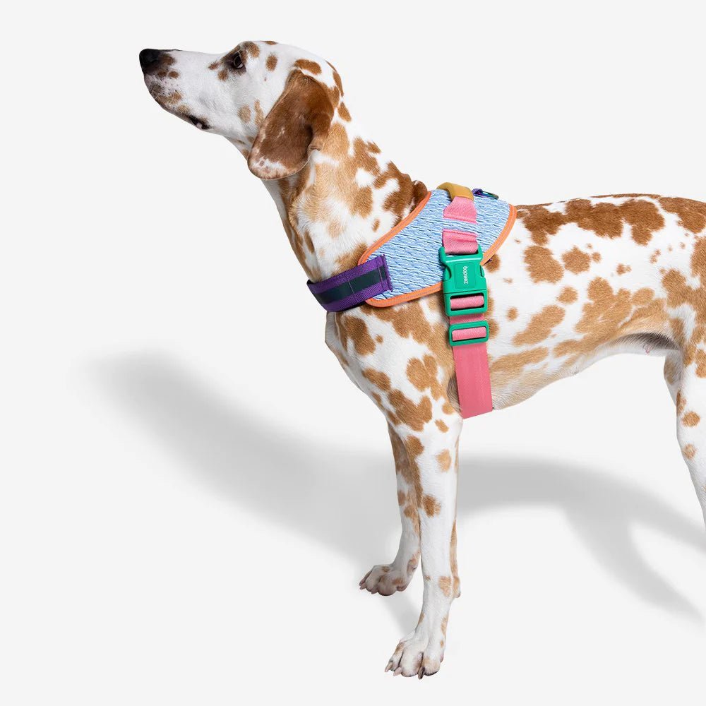 Dog Harnesses - The Dog Shop