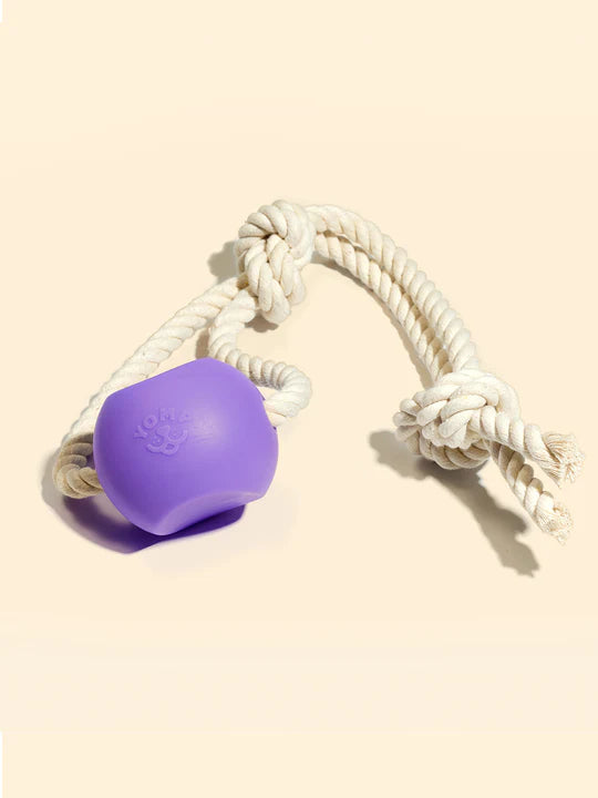 Durable Dog Toys