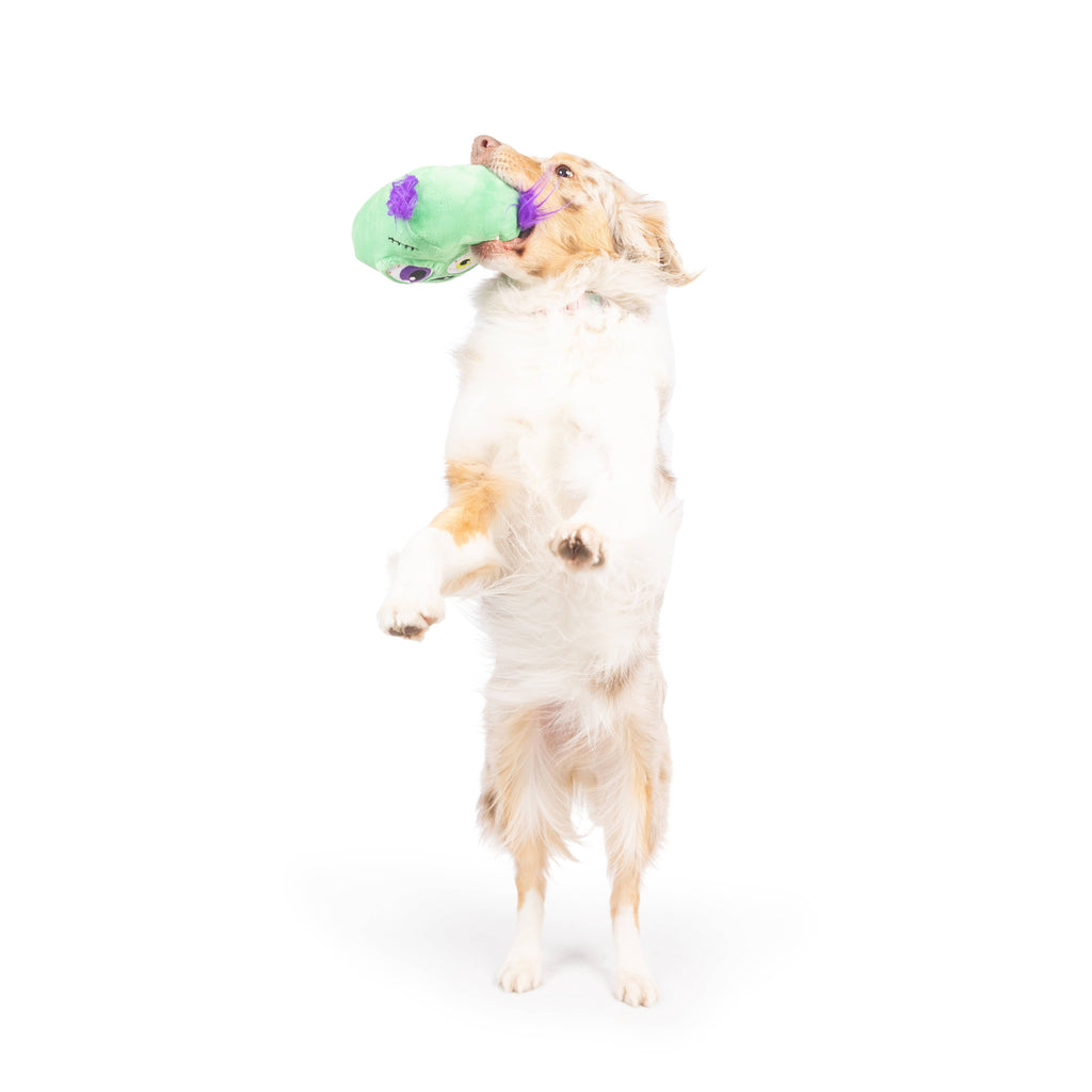 Zombie Pop 'n Fetch Pop-Eye Dog Toy - The Dog Shop