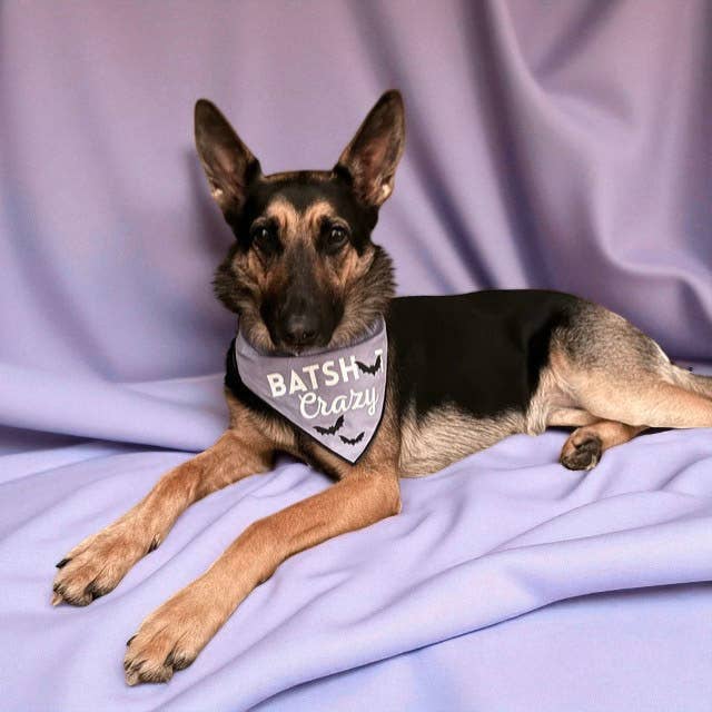 "Batsh*t Crazy" Halloween Dog Bandana - The Dog Shop