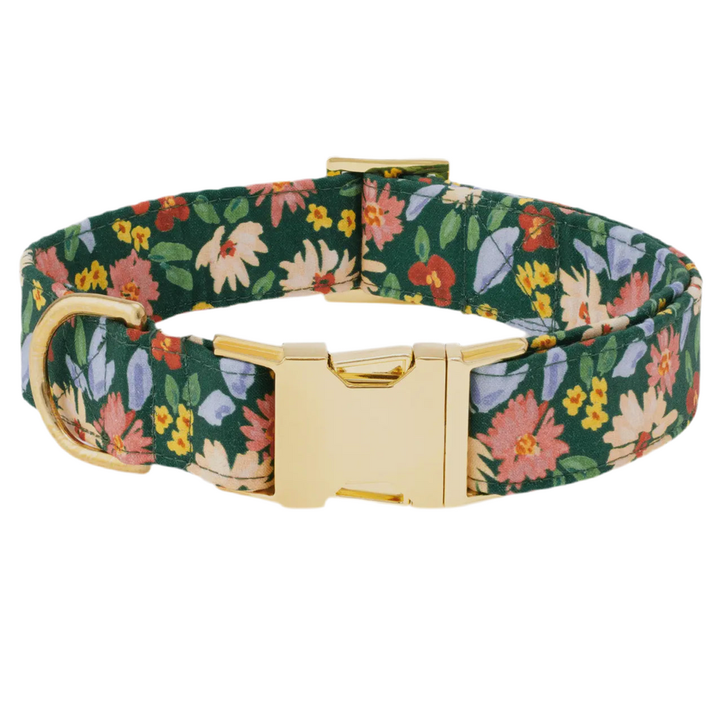 The Foggy Dog Collar - Secret Garden - The Dog Shop