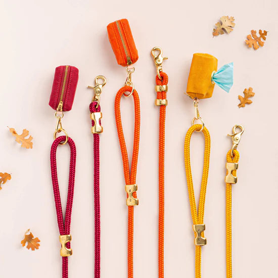 The Foggy Dog Marine Rope Dog Leash - Goldenrod - The Dog Shop