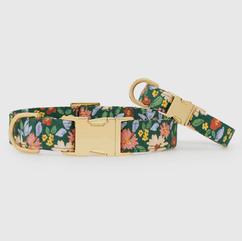 The Foggy Dog Collar - Secret Garden - The Dog Shop