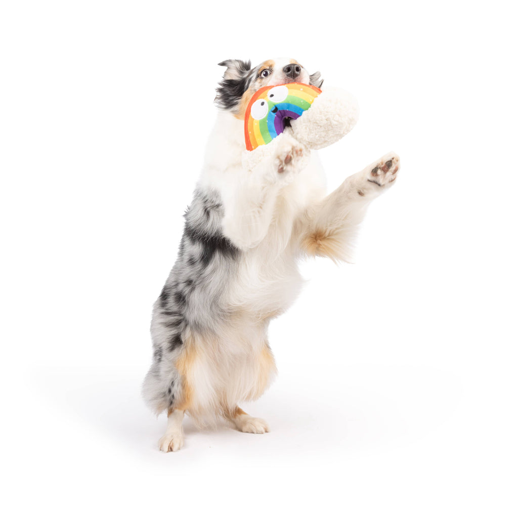 Happy Rainbow Dog Toy - The Dog Shop