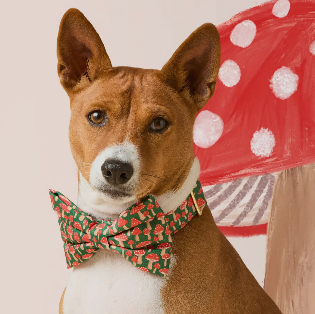 The Foggy Dog Bow Tie - Mushroom Meadow - The Dog Shop