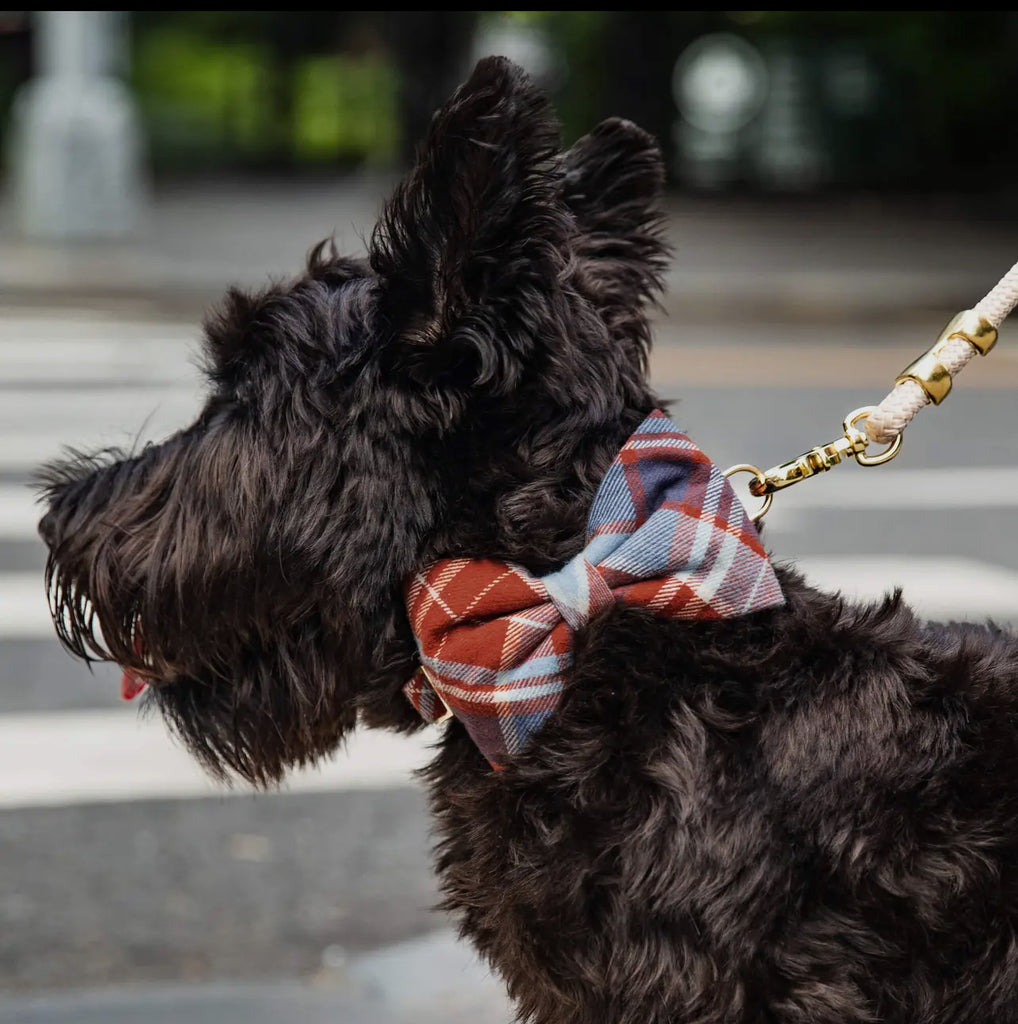 The Foggy Dog Bow Tie - Maple Plaid Flannel - The Dog Shop