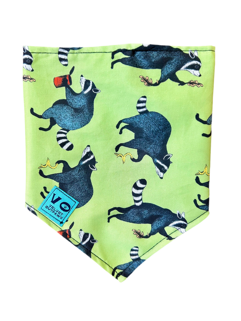 Velvet Outpaws Trash Panda Dog Bandana - Green - The Dog Shop