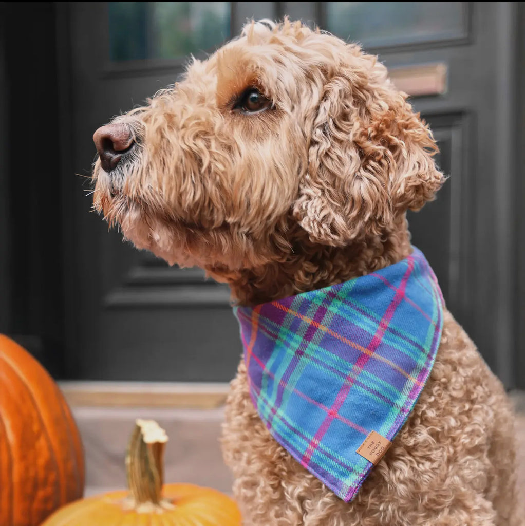 The Foggy Dog Bandana - Piper Plaid Flannel - The Dog Shop