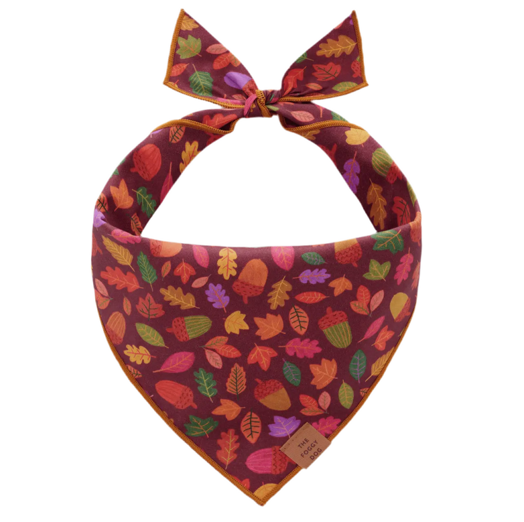 The Foggy Dog Bandana - Nuts About You - The Dog Shop