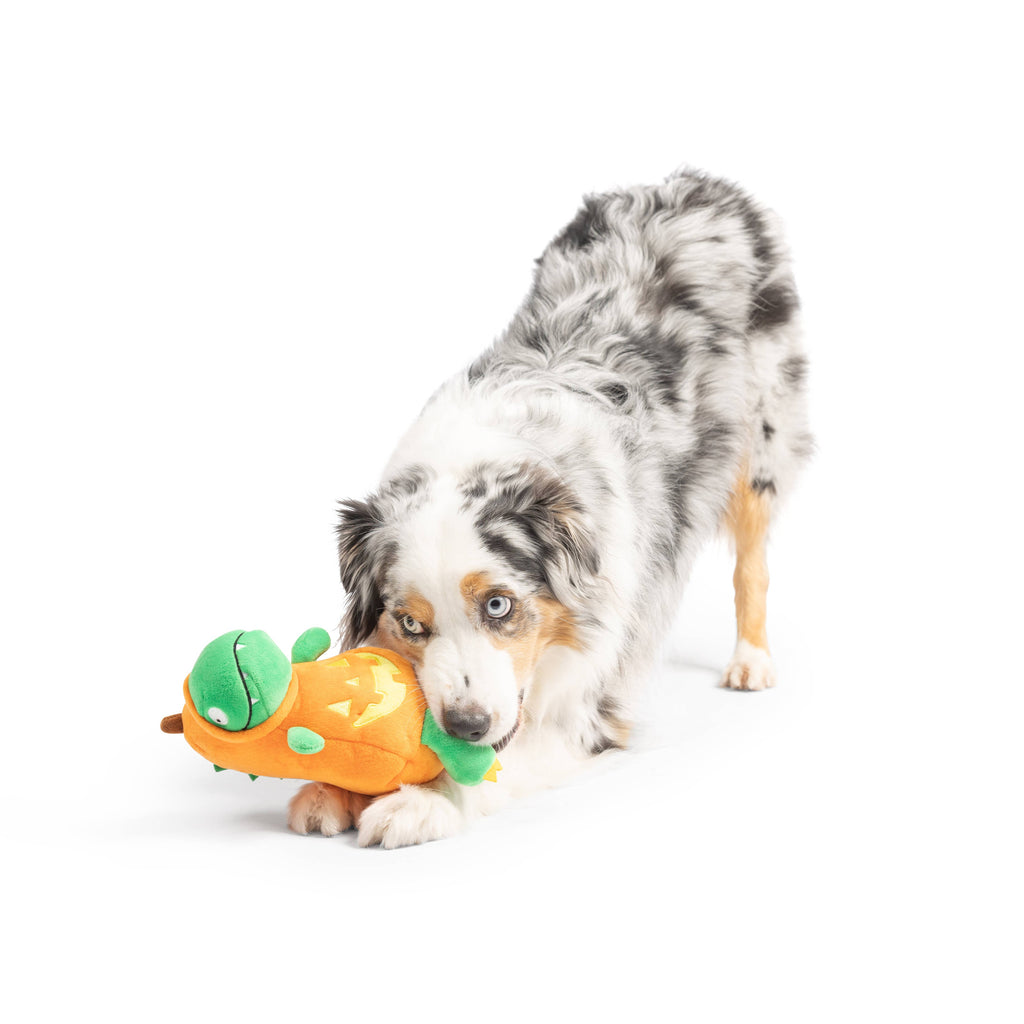 Dino-Lantern Dog Toy - The Dog Shop