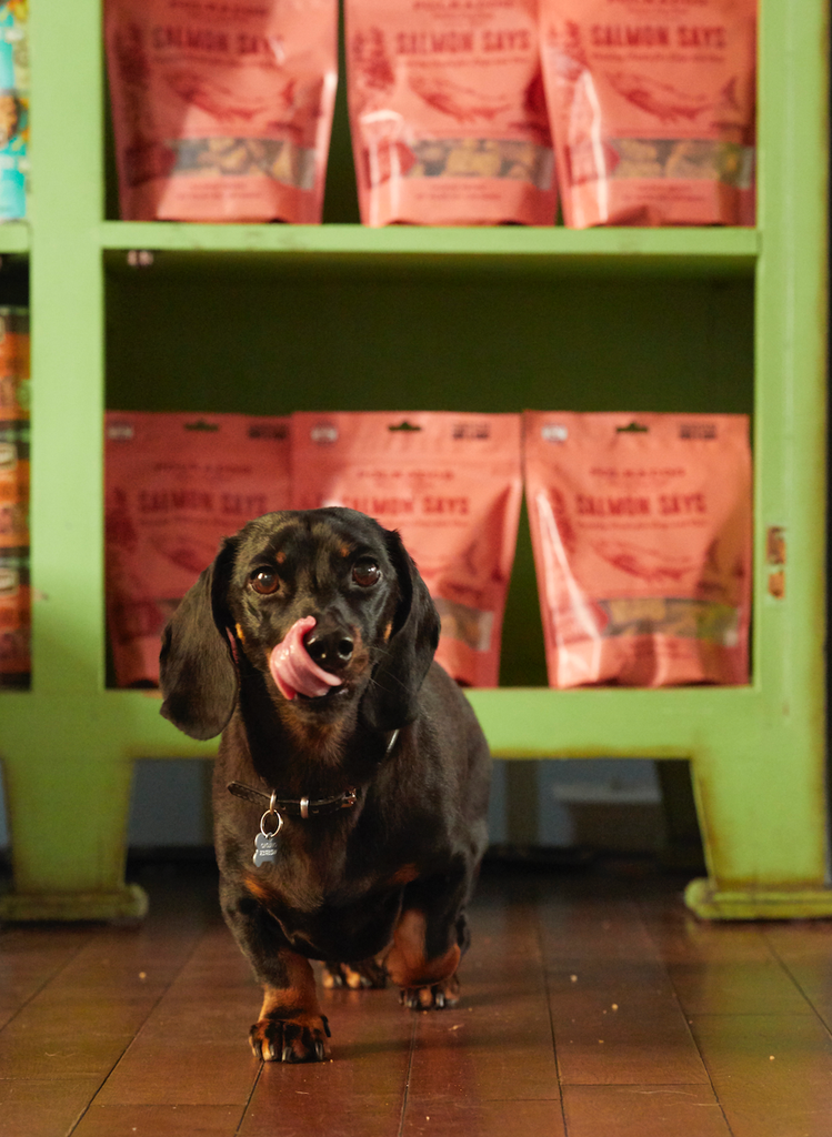 Polkadog Salmon Says Dog Treats (Bone Shaped) - The Dog Shop