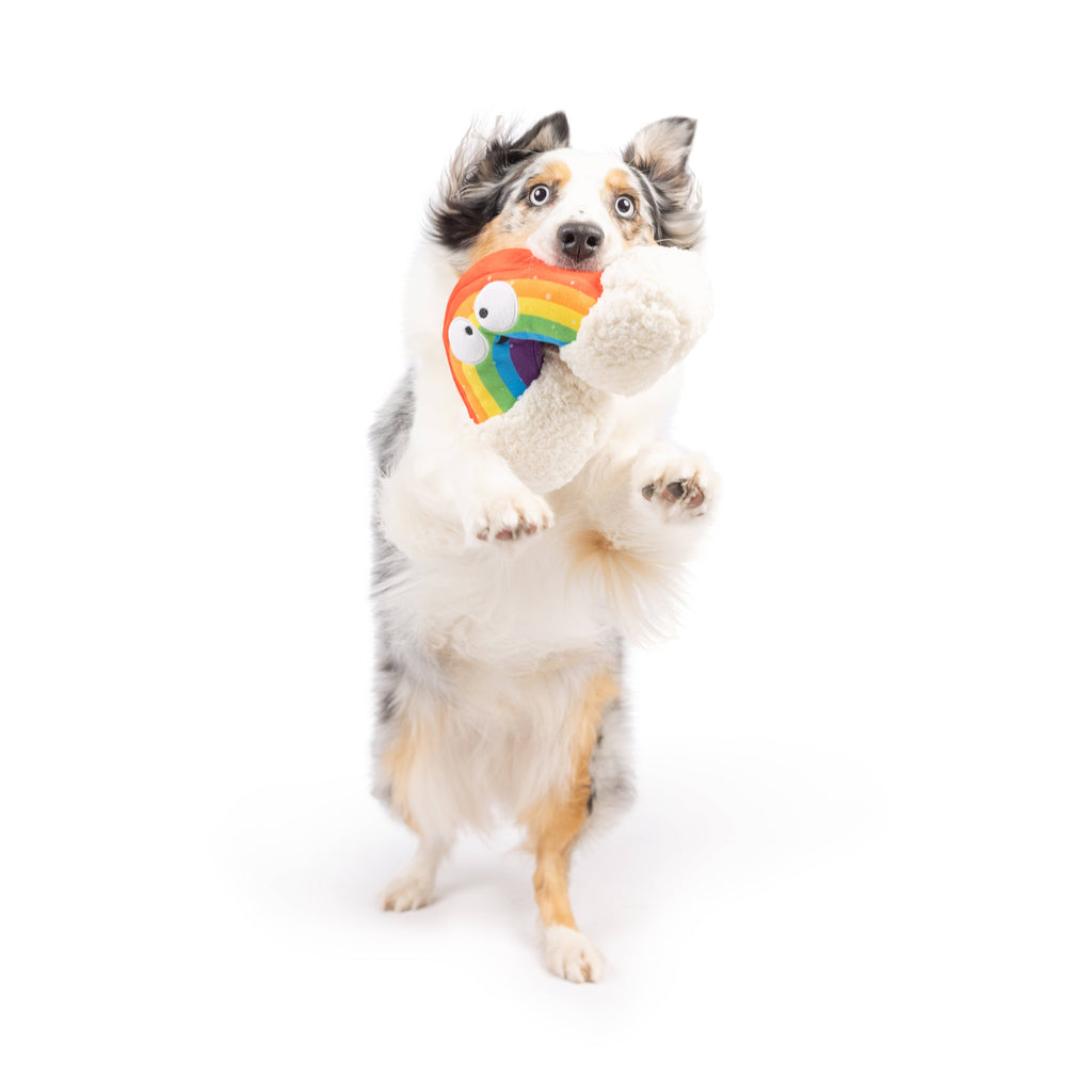 Happy Rainbow Dog Toy - The Dog Shop