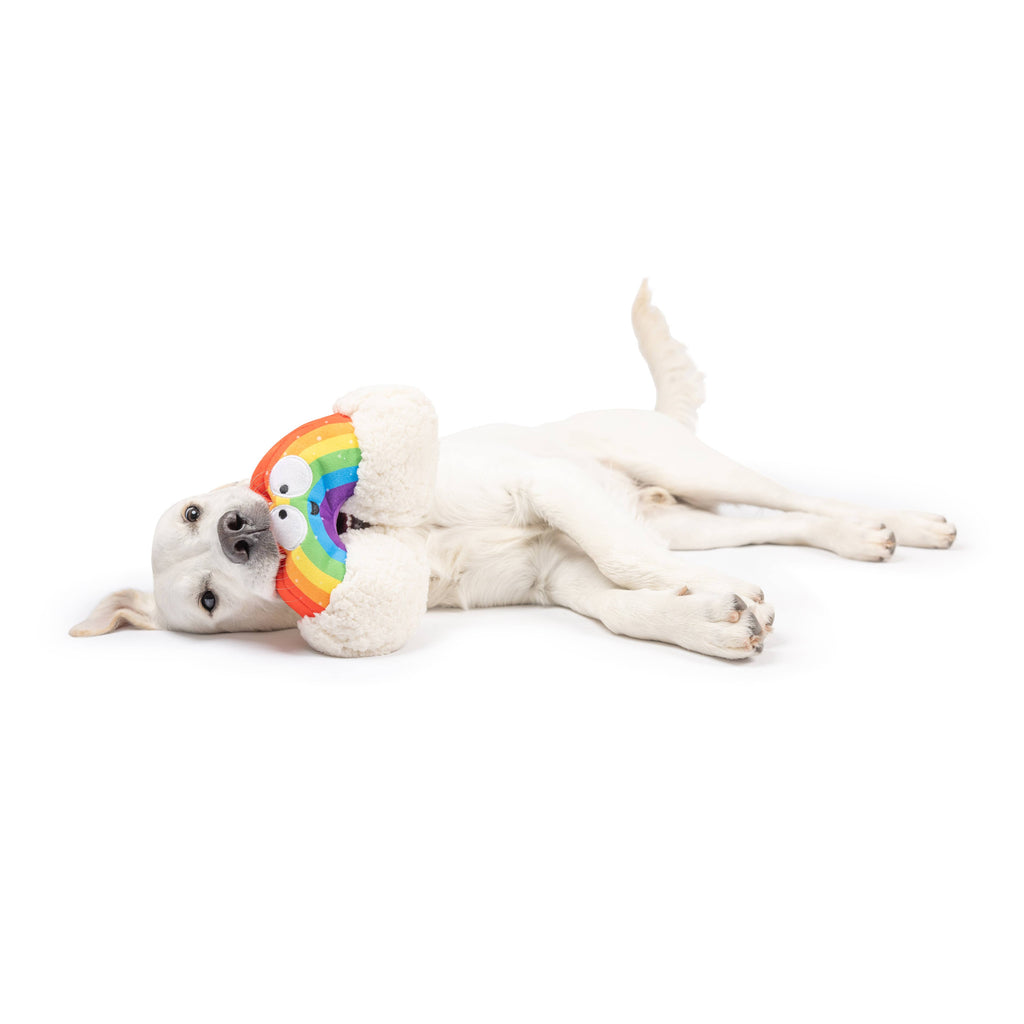 Happy Rainbow Dog Toy - The Dog Shop