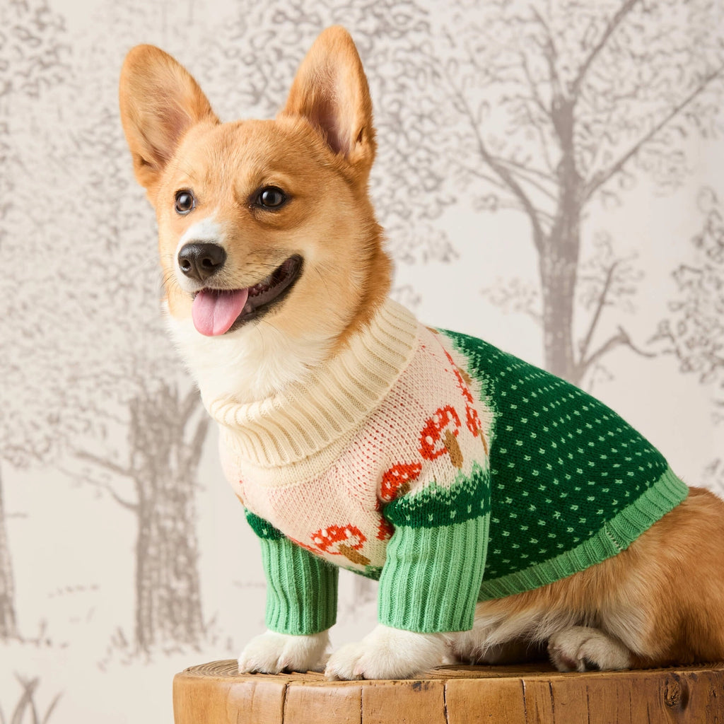 The Foggy Dog - Toadstool Dog Sweater - The Dog Shop