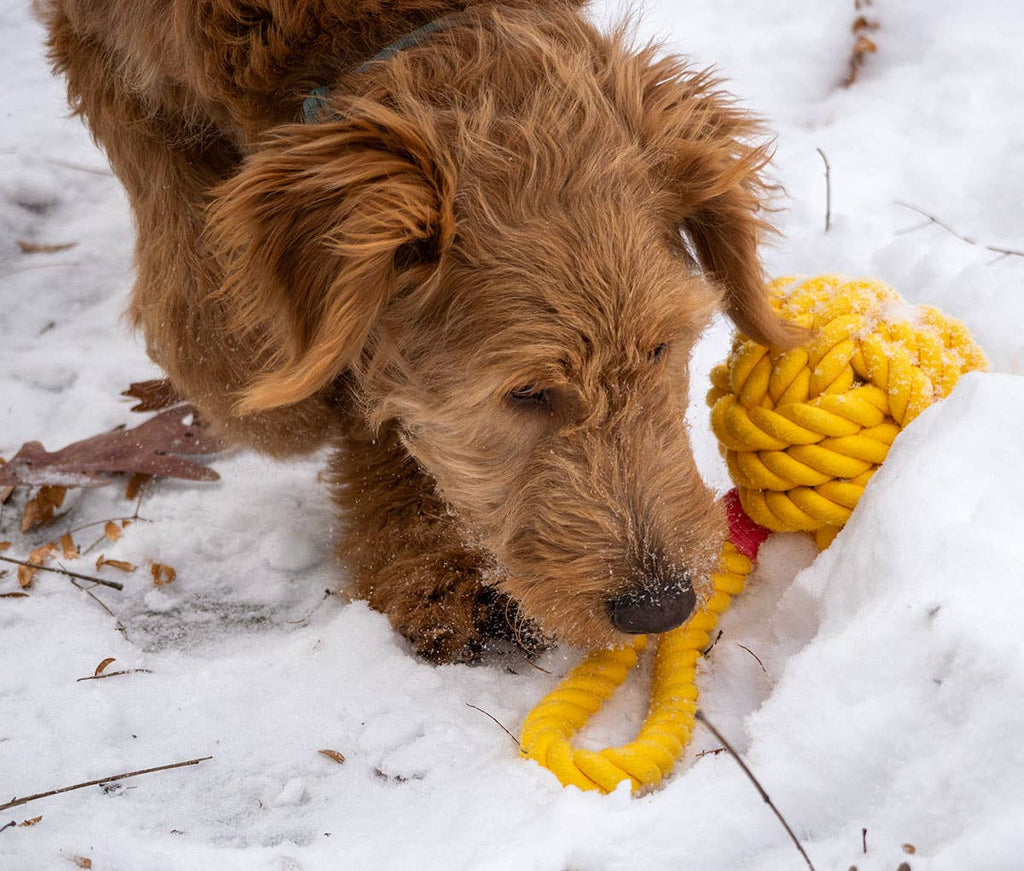 ThoozyPet Ball Tug Rope Dog Toy with Handle Yellow 5" - The Dog Shop