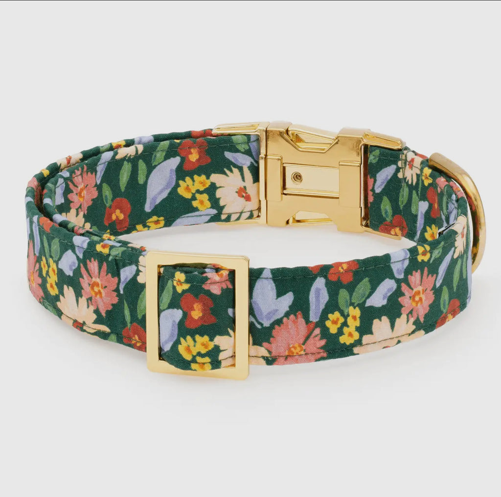 The Foggy Dog Collar - Secret Garden - The Dog Shop