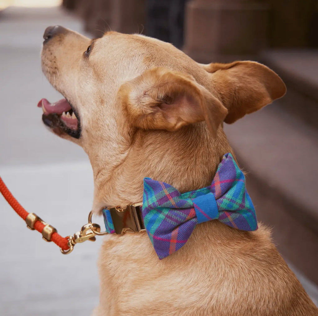 The Foggy Dog Bow Tie - Piper Plaid Flannel - The Dog Shop