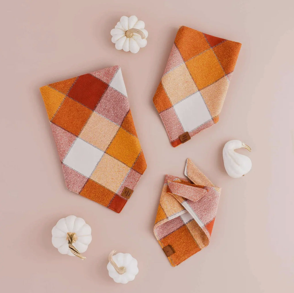 The Foggy Dog Bandana - Pumpkin Spice Flannel - The Dog Shop