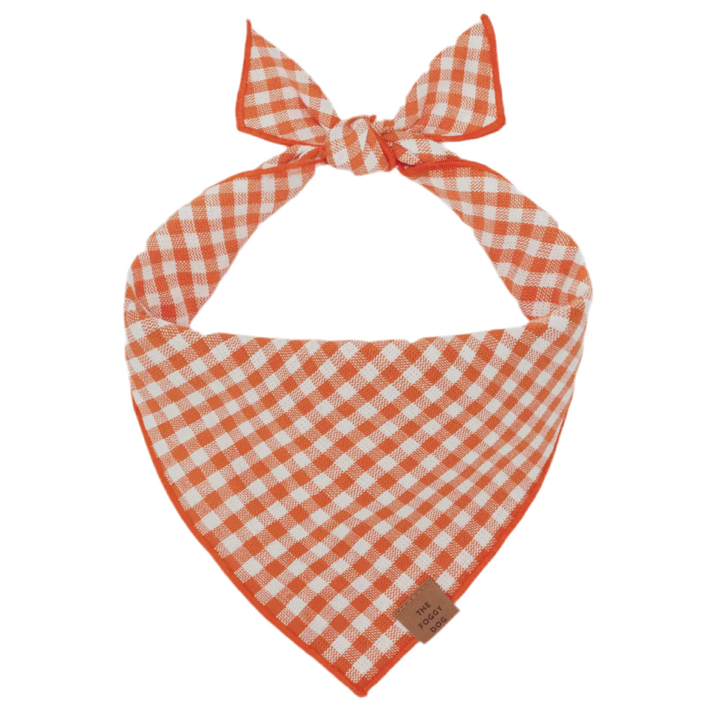 The Foggy Dog Bandana - Cider Gingham - The Dog Shop