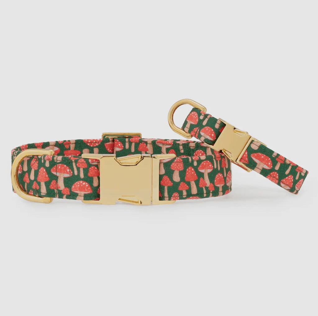 The Foggy Dog Collar - Mushroom Meadow - The Dog Shop