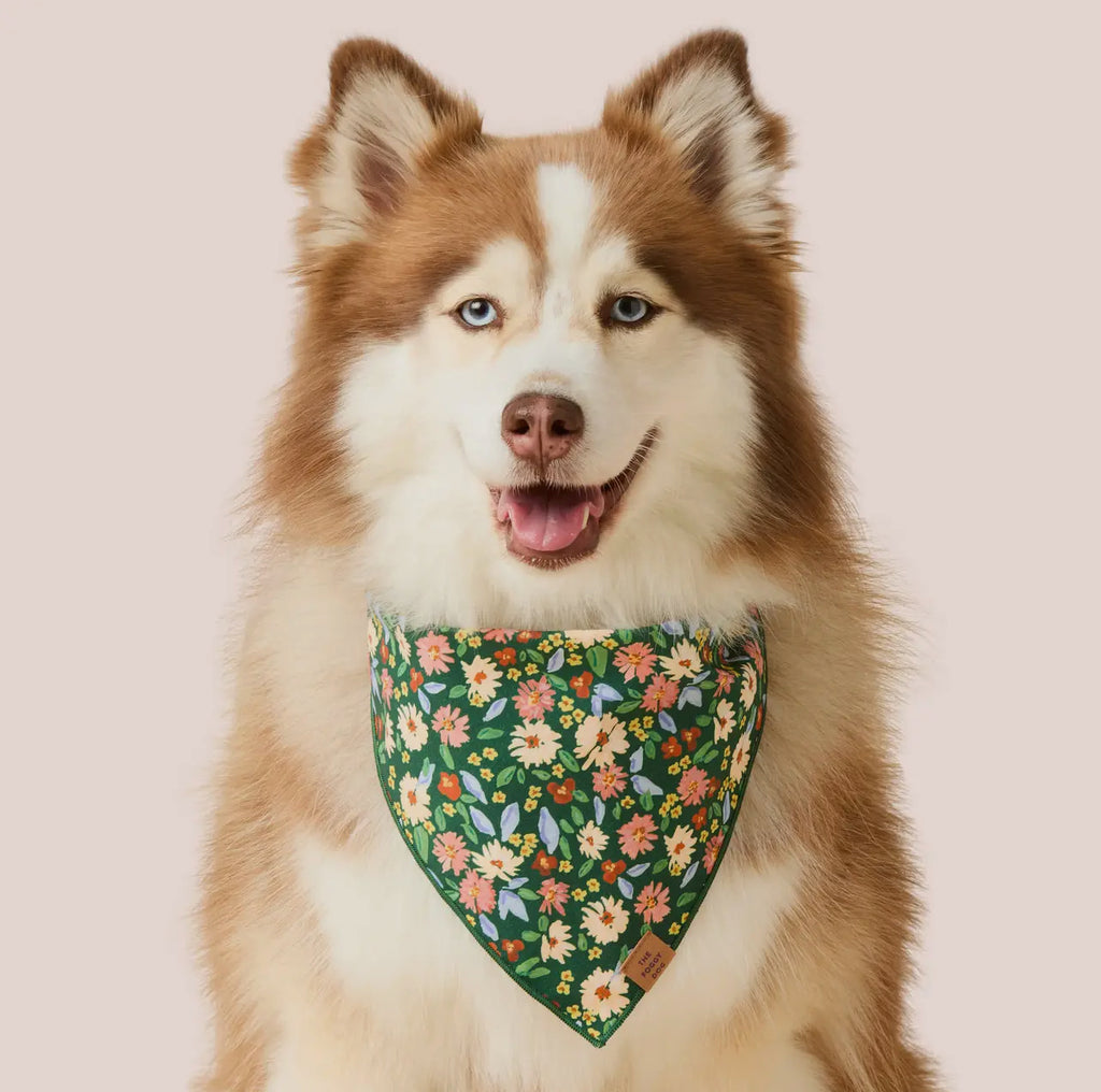 The Foggy Dog Bandana - Secret Garden - The Dog Shop