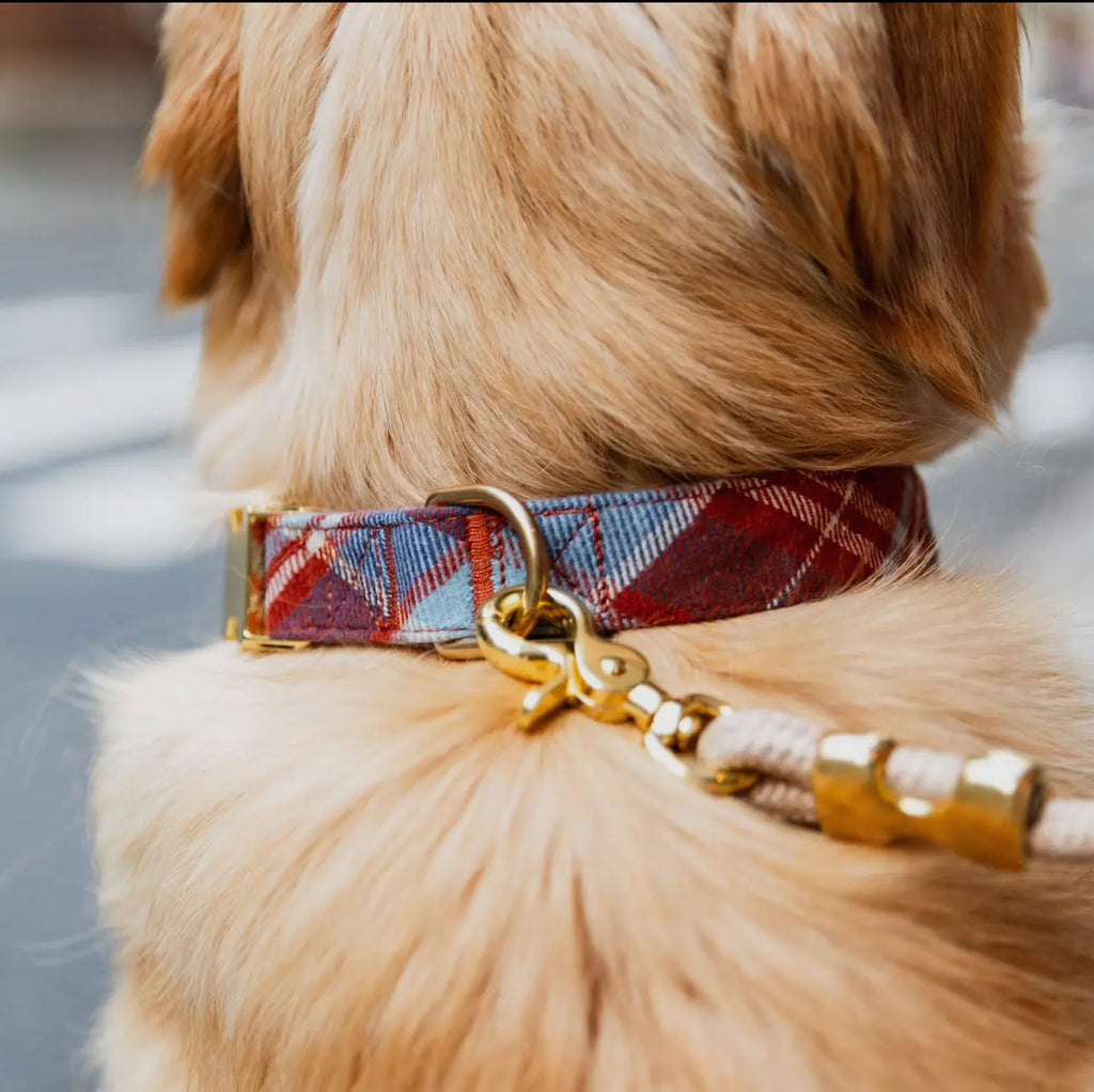 The Foggy Dog Collar - Maple Plaid Flannel - The Dog Shop