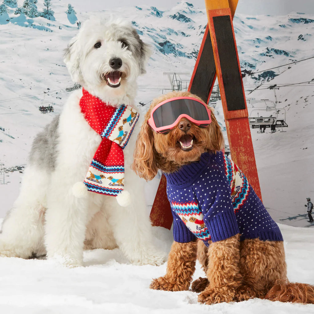 The Dog Shop Your Dog s Favorite Dog Store