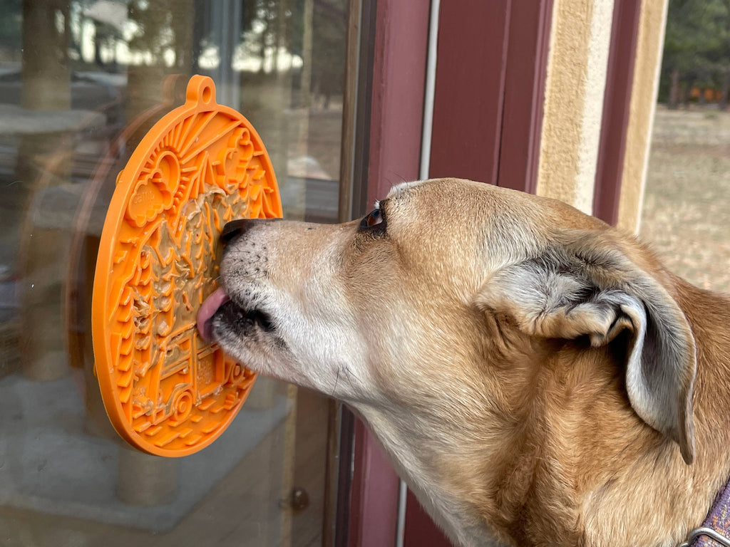 SodaPup Enrichment Lick Mat With Suction Cups - Camp - The Dog Shop