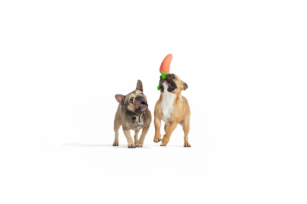 BARK Super Chewer Habanero Pupper Dog Chew Toy - The Dog Shop