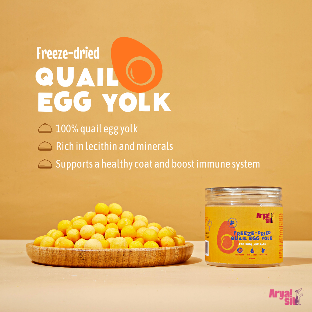 Freeze-Dried Egg Yolk: Small - The Dog Shop