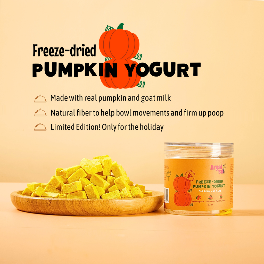 Freeze-Dried Pumpkin Yogurt - The Dog Shop