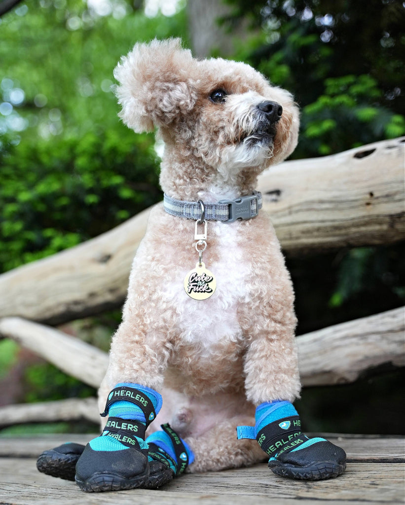 Pet ID Tag - Cute as Fuck - The Dog Shop