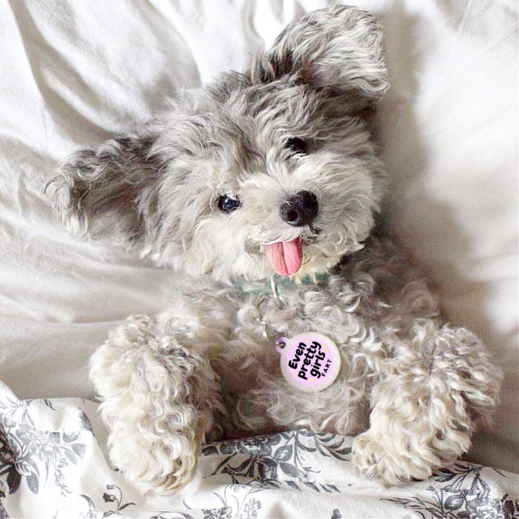Pet ID Tag - Even Pretty Girls Fart - The Dog Shop