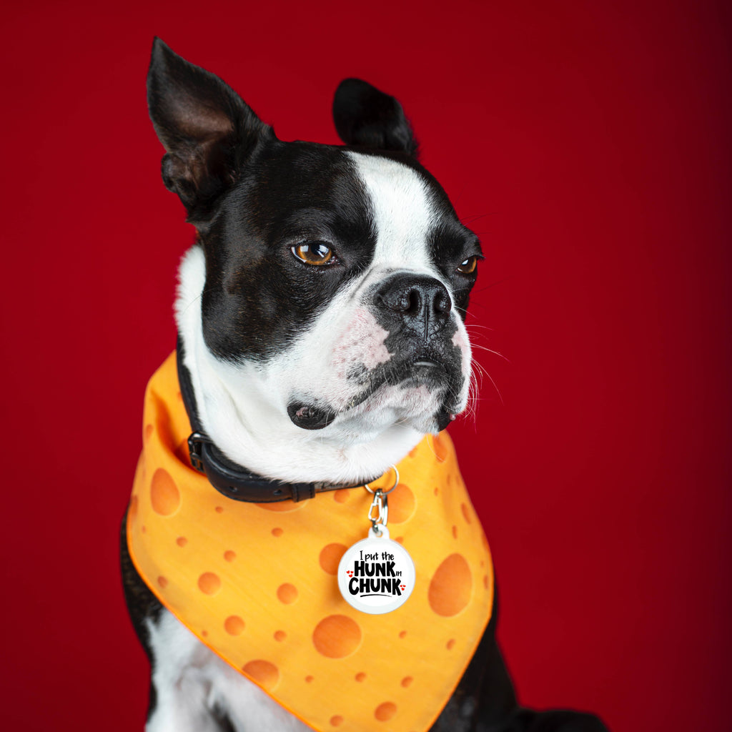 Pet ID Tag - I Put the Hunk in Chunk - The Dog Shop