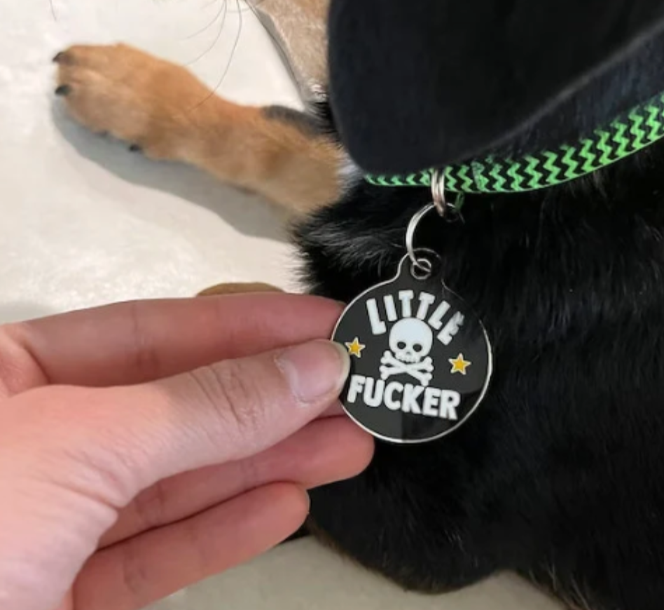 Pet ID Tag - Little Fucker - The Dog Shop