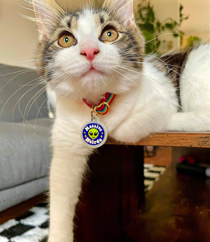 Pet ID Tag - Massive Weirdo - The Dog Shop