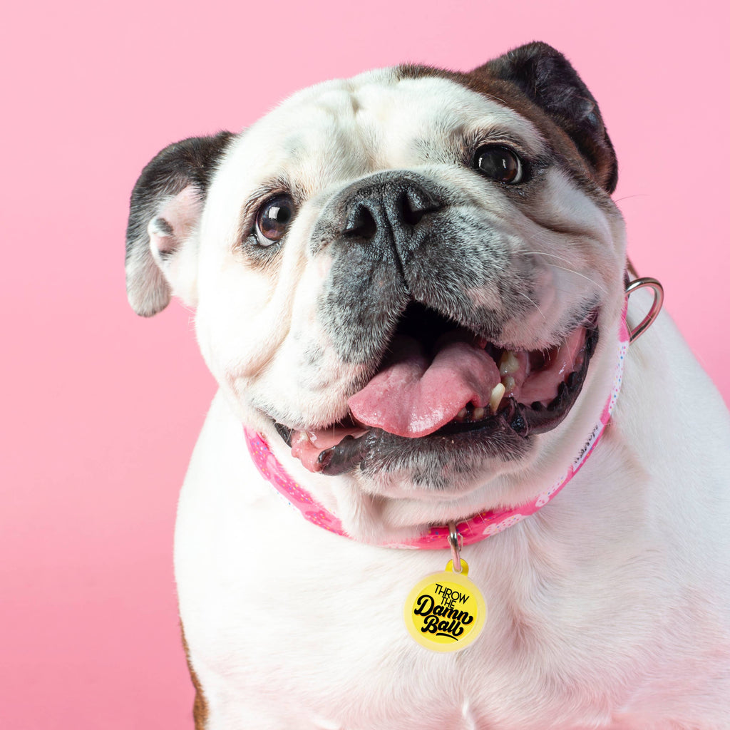 Pet ID Tag - Throw the Damn Ball - The Dog Shop