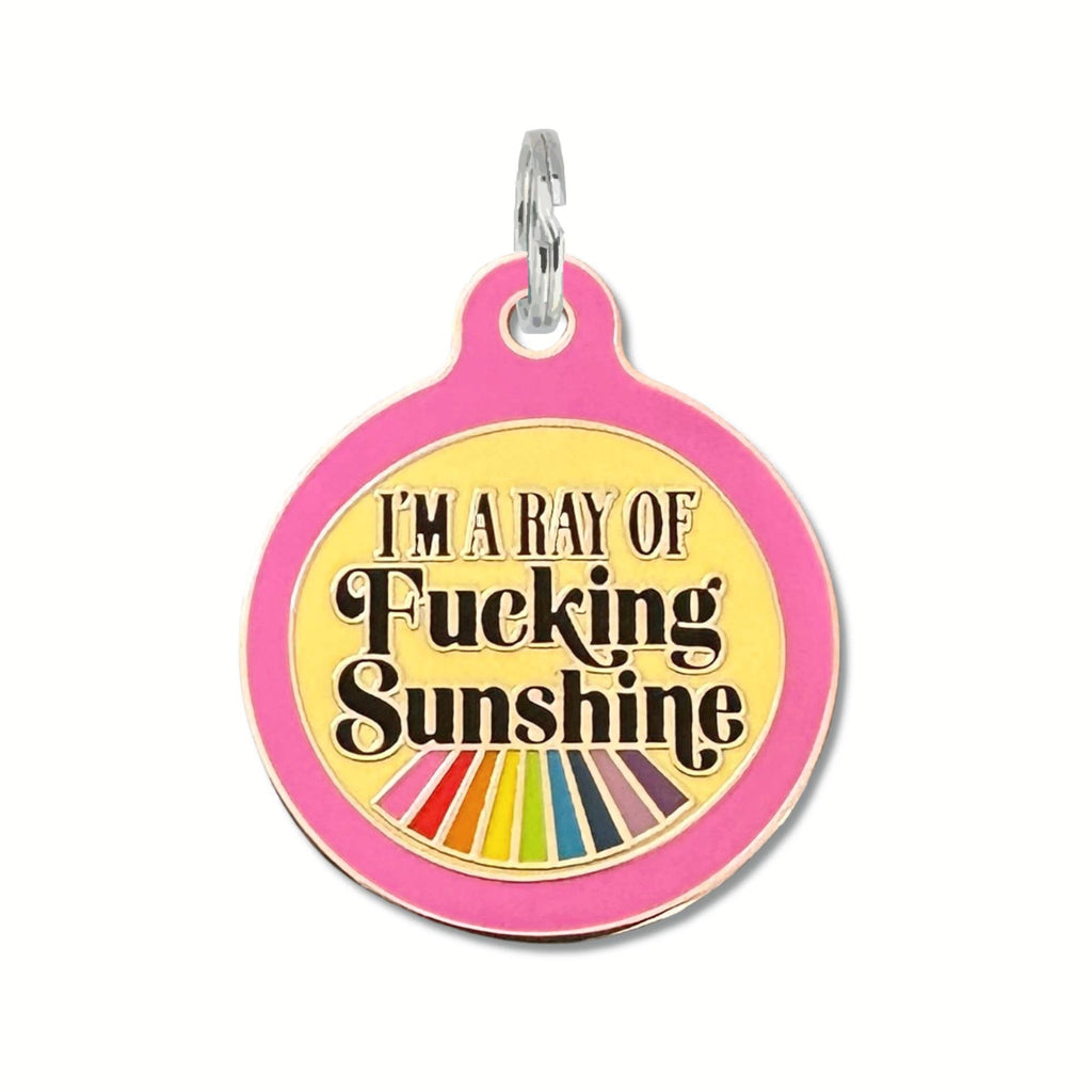 Pet ID Tag - I'm a Ray of Fucking Sunshine - The Dog Shop