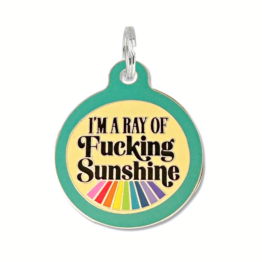 Pet ID Tag - I'm a Ray of Fucking Sunshine - The Dog Shop