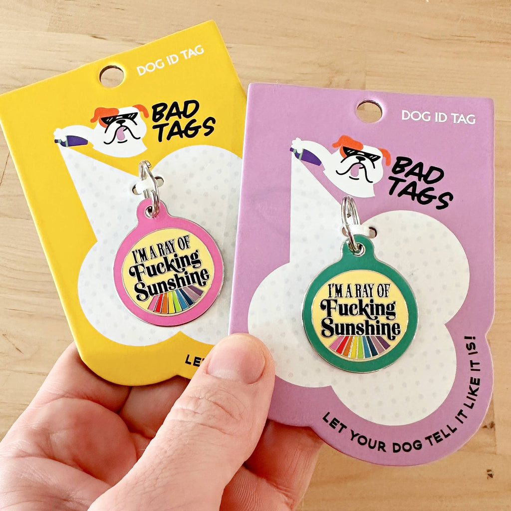 Pet ID Tag - I'm a Ray of Fucking Sunshine - The Dog Shop