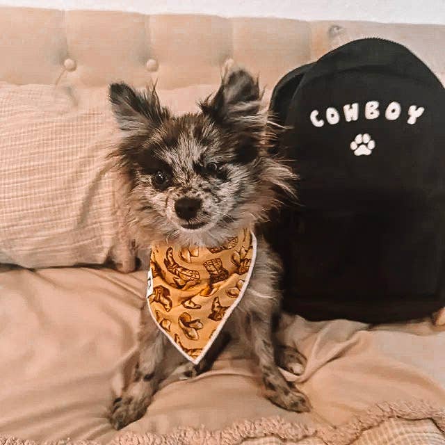 "Cowboy" Western Cowboy Hat Dog Bandana - The Dog Shop