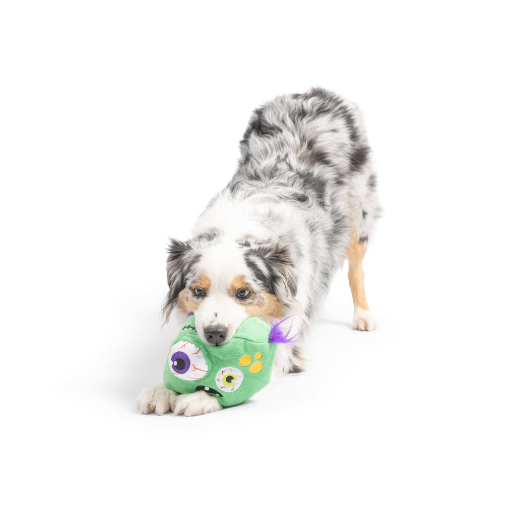 Zombie Pop 'n Fetch Pop-Eye Dog Toy - The Dog Shop