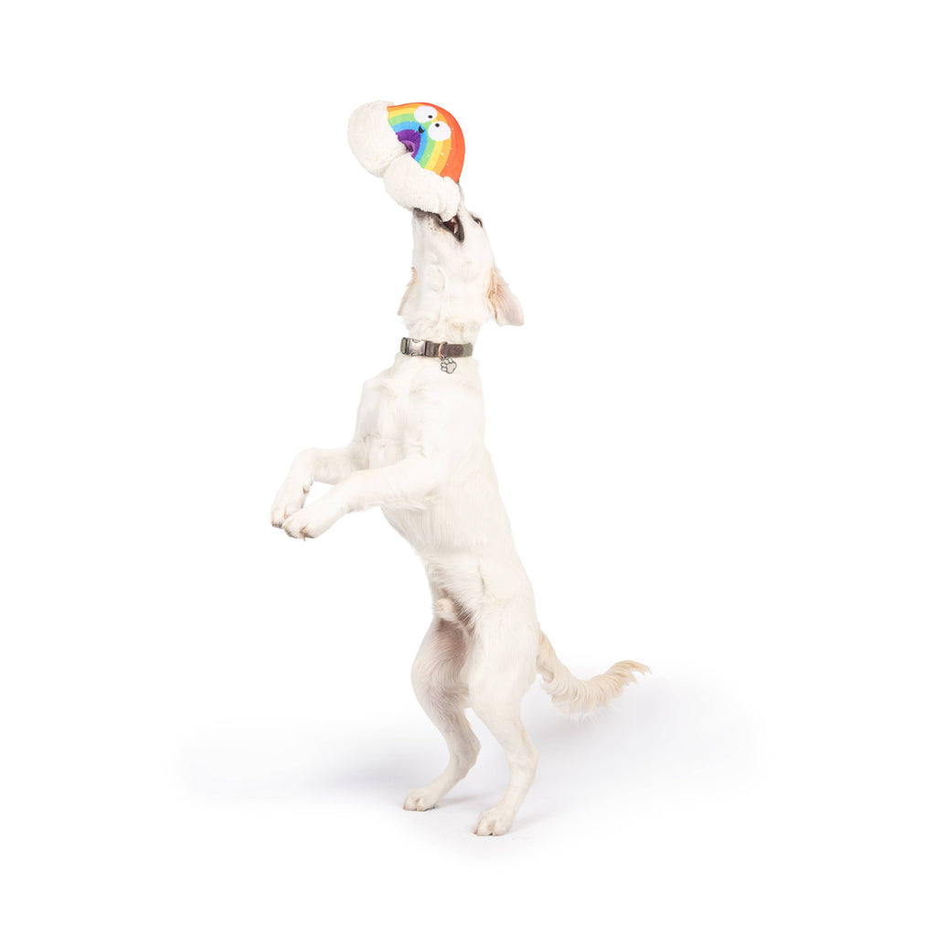 Happy Rainbow Dog Toy - The Dog Shop