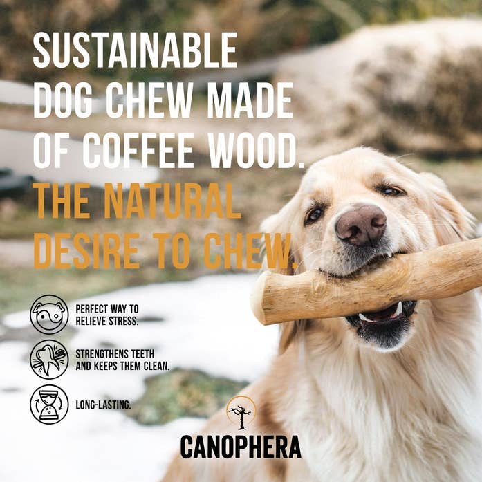 Coffee Wood Dog Chew Stick - XS - The Dog Shop