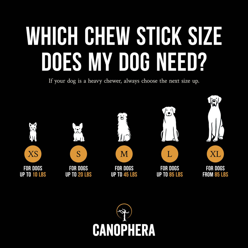 Coffee Wood Dog Chew Stick - XS - The Dog Shop
