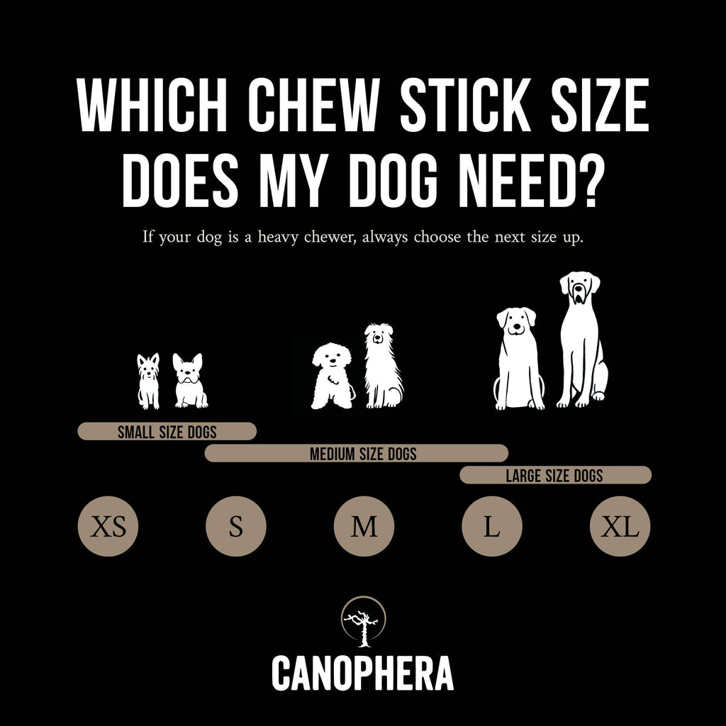 Sheep Horn Dog Chew - M - The Dog Shop