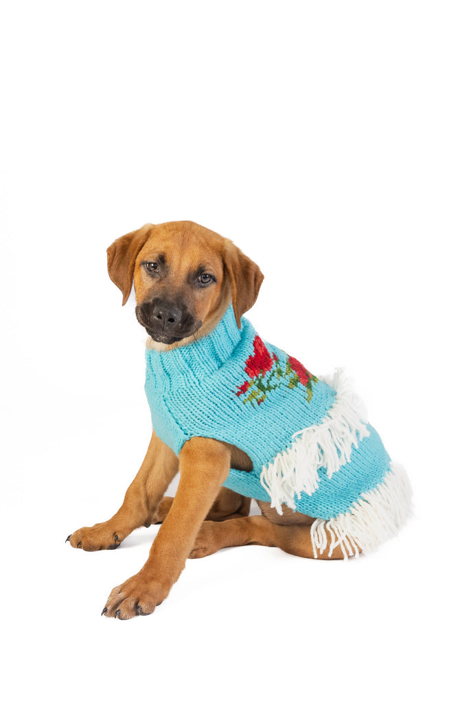 Rodeo Dog Sweater - The Dog Shop