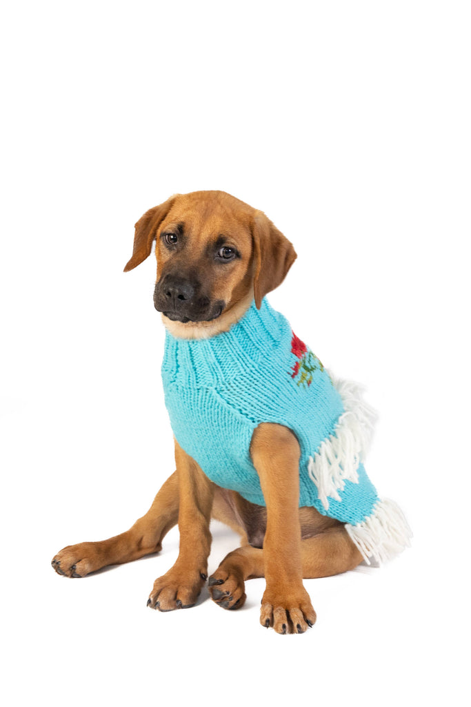 Rodeo Dog Sweater - The Dog Shop