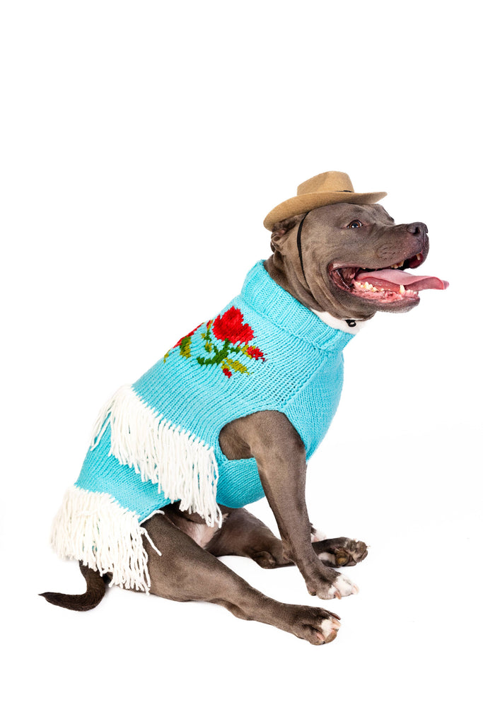 Rodeo Dog Sweater - The Dog Shop